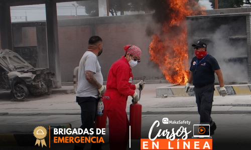 BRIGADAS DE EMERGENCIAS